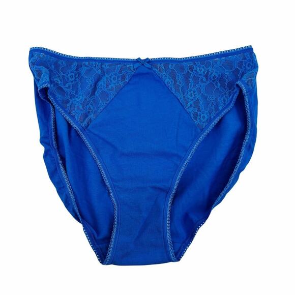 Victoria's Secret Periwinkle Lace Inlay High Leg Brief Panty Large - Picture 1 of 5